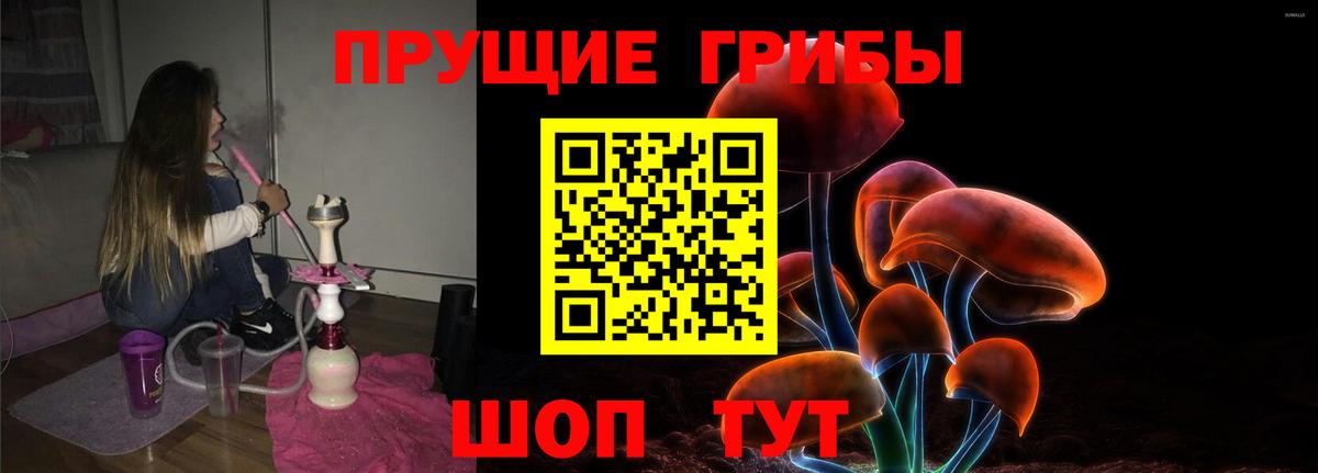 Псилоцибиновые грибы MAGIC MUSHROOMS  Псилоцибиновые грибы Psilocybine cubensis  Ступино  Вход с VPN 